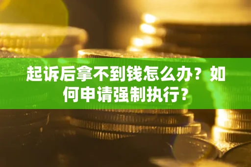 济南起诉后拿不到钱怎么办？如何申请强制执行？
