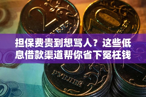 济南担保费贵到想骂人？这些低息借款渠道帮你省下冤枉钱