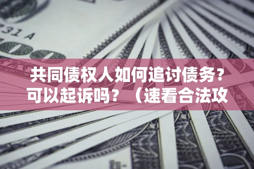 济南共同债权人如何追讨债务？可以起诉吗？（速看合法攻略）
